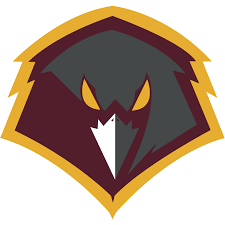 University of Charleston (WV)
